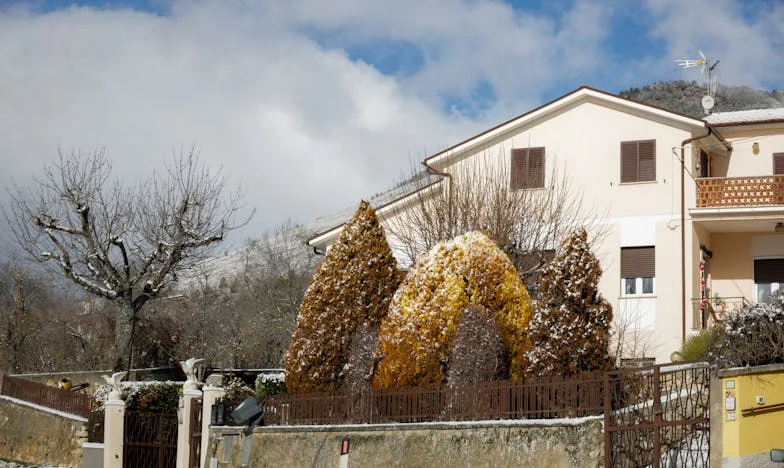 Testamentul din sertar: Povestea unei fiice trădate