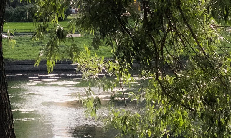 Vara în care am devenit oaia neagră: Cum o vacanță mi-a schimbat viața și familia