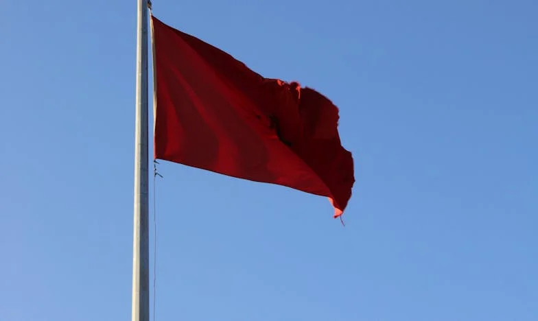 Zidul Invizibil al Luxului: Povestea Unei Familii Împărțite