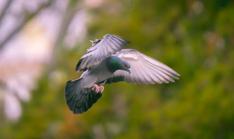 A plecat când eram însărcinată în nouă luni, dar după trei ani s-a întors cerând iertare