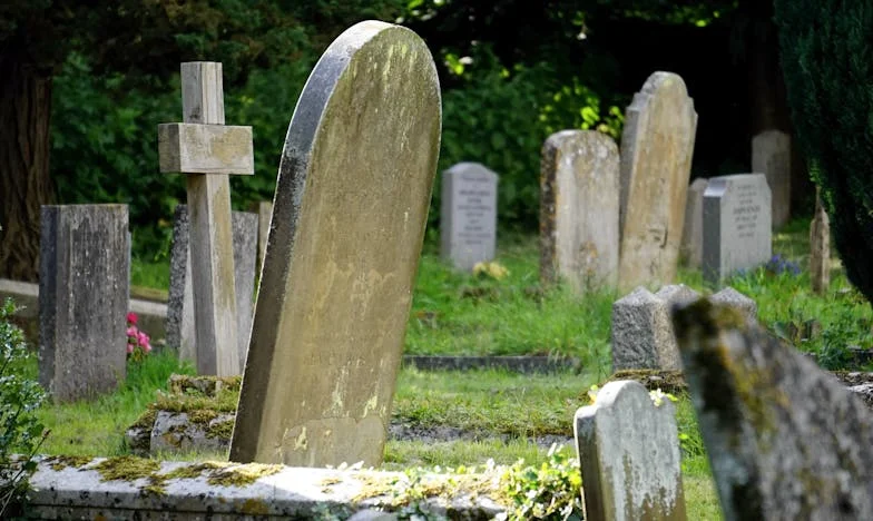 Recunoscătoare soacrei mele: Povestea unei familii încercate de pierdere și regăsire