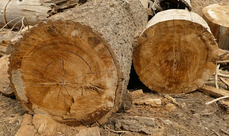 Între două lumi: Povara unui adevăr nespus