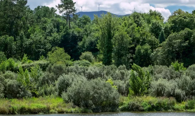 Când adevărul doare: Povestea Anei și a dreptății pe străzile Bucureștiului