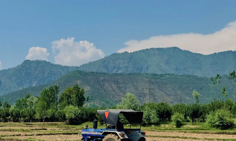 Când rugăciunea devine ultima speranță: Povestea mea și a Anei