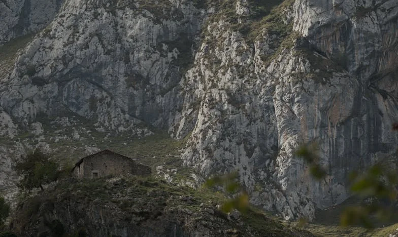 Când totul s-a prăbușit: Povestea mea despre trădare, familie și regăsire