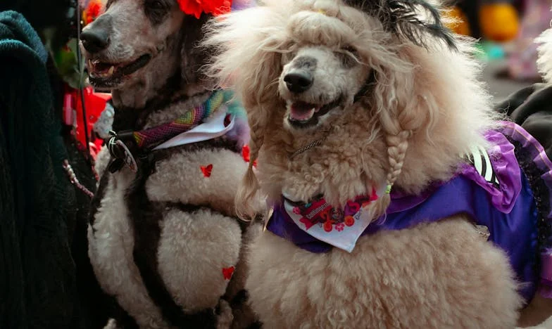 Cenușa și cicatricile: Povestea Anei dintr-un cartier de blocuri din Ploiești