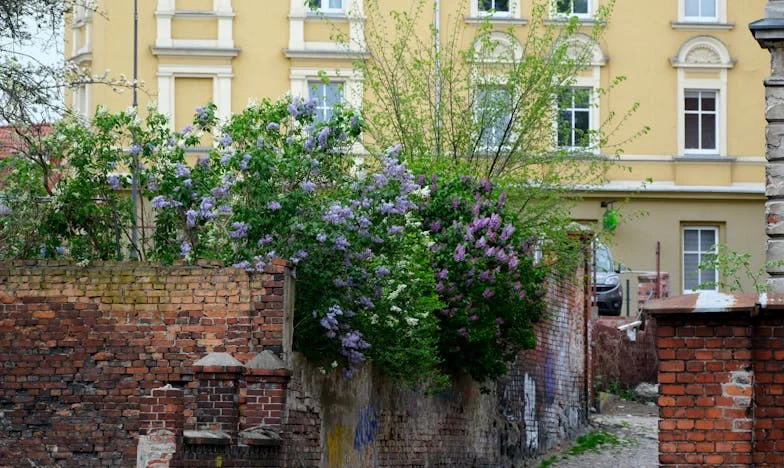 Între dragoste și demnitate: Povestea unei mame puse la încercare