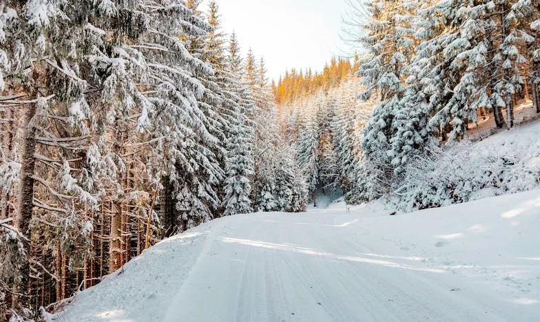 La răscrucea durerii: Povestea unui tată care a învățat să ierte