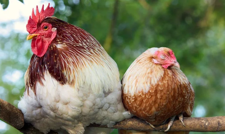 Nu sunt sluga nimănui: ziua în care am spus „Ajunge!”