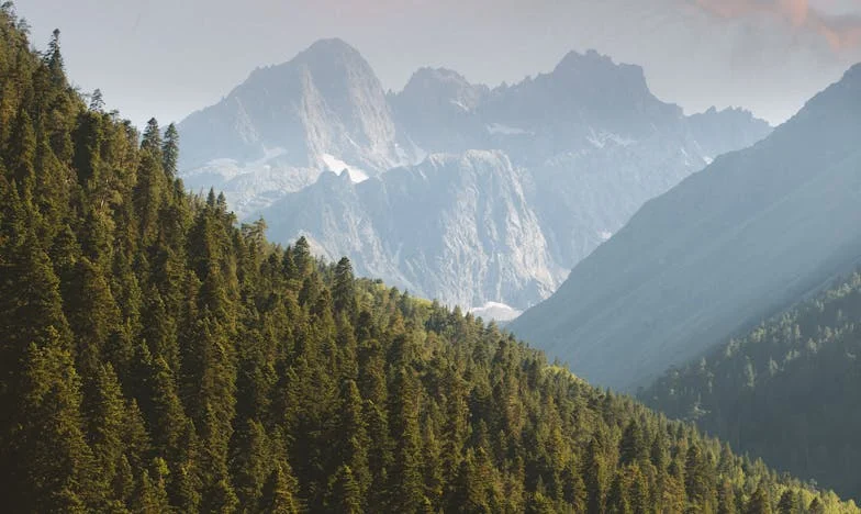 Prea devreme adultă: Povestea mea despre o familie pe care nimeni nu a vrut-o