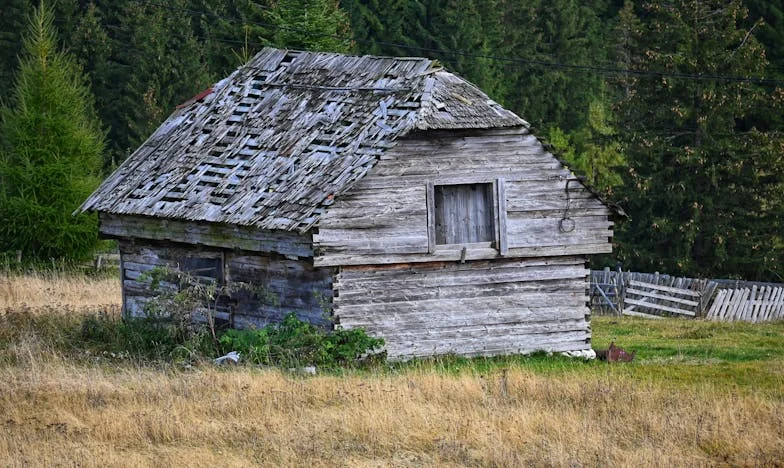 Umbra mamei-soacre – Povestea unei proaspete mame între loialitate și sine