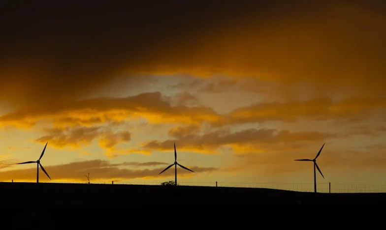 Ușa deschisă la ora zece: Adevărul dincolo de prag