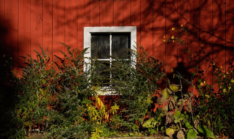 Ziua mea de naștere care mi-a sfâșiat sufletul: între trădare, secrete și iertare