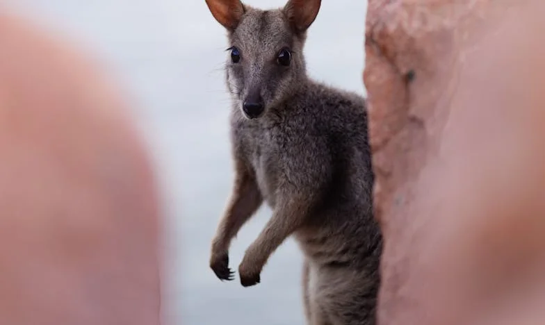 Adevărul din spatele mesei goale: Mărturisirea mea la propria nuntă
