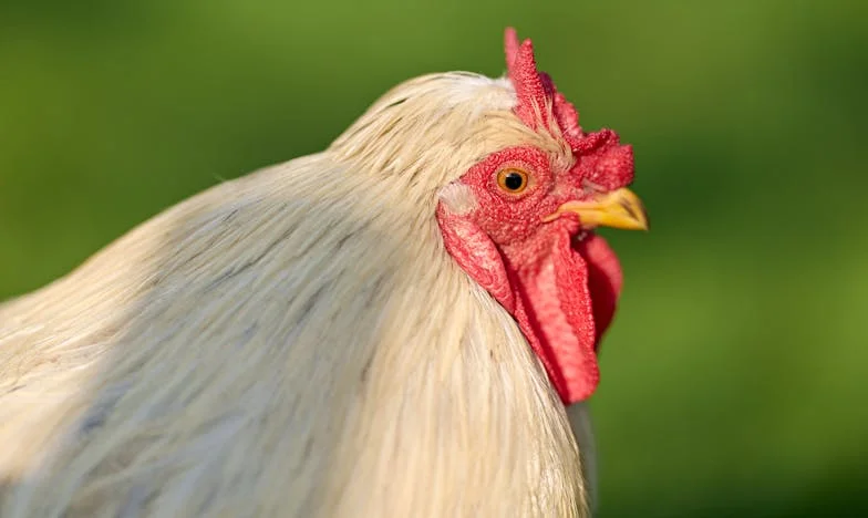 Când bunica se pierde în propria viață: Povestea Mariei din cartierul Titan