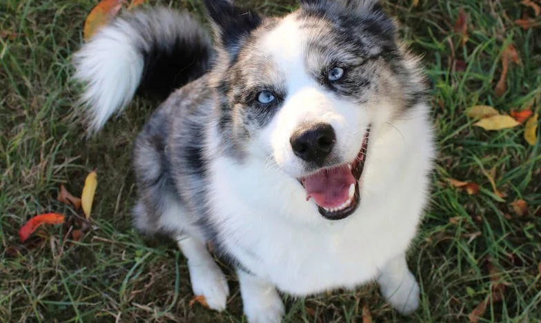 Când dragostea nu ține cont de ani: Decizia care a rupt familia