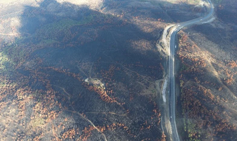 Când mândria se frânge: Povestea unui tată într-o seară de vineri