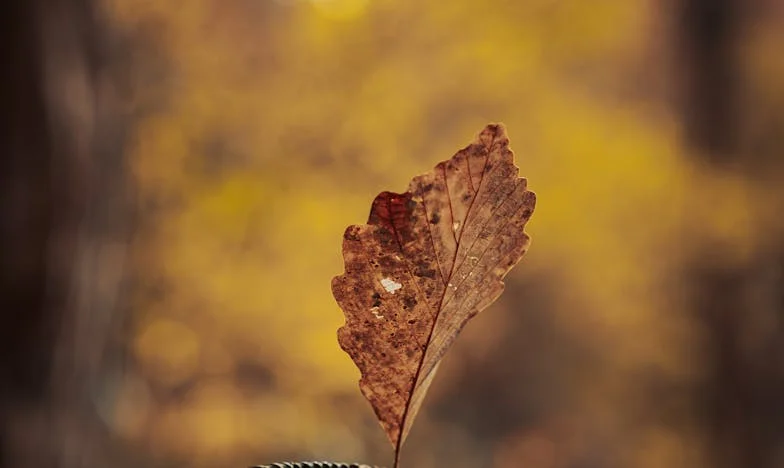 Cinci ani pe umerii mei: Ziua în care am cerut ajutor soțului meu