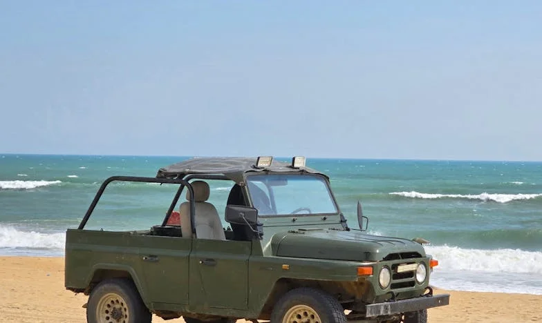 Dida Ion și eu: Când ajutorul devine salvare