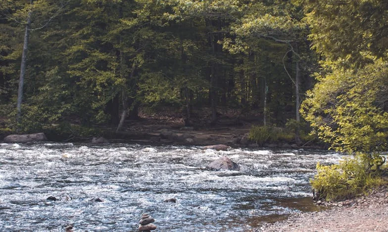 După 20 de ani, fostul meu soț a apărut din nou în viața mea: între iertare și refuzul copiilor mei