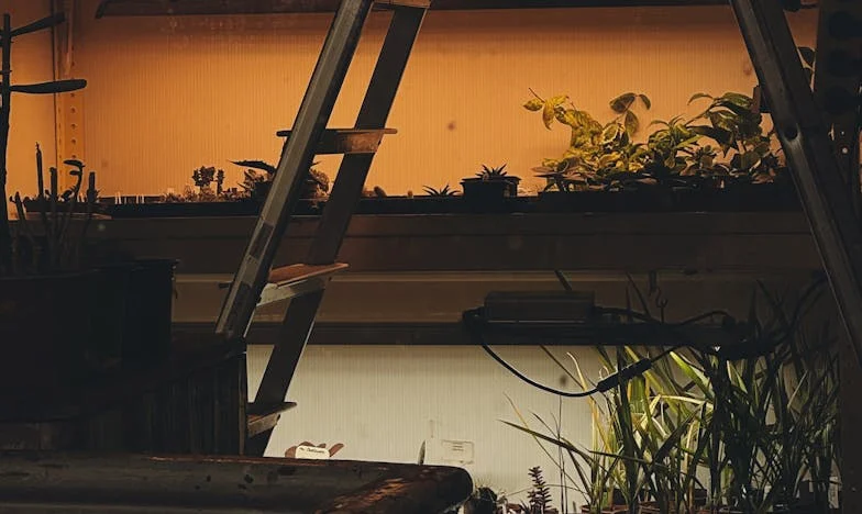 Inima unei mame între viață și moarte: Povestea Anei, gemenele și lupta cu destinul