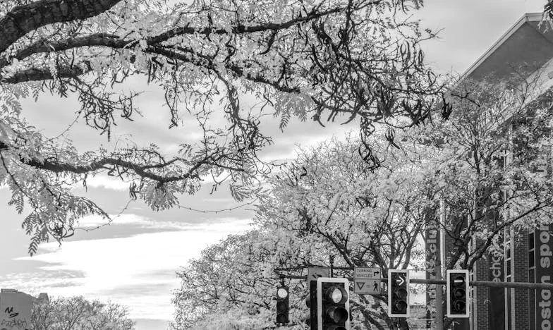 Între două focuri: Povestea unei seri care mi-a schimbat viața