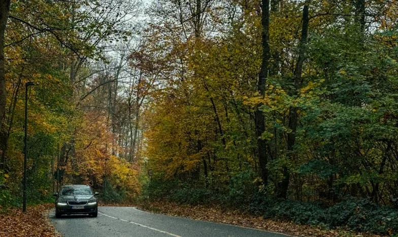 Între două lumi: Povestea unei nurori într-un apartament de bloc din București