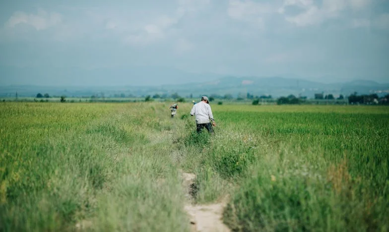 „Mamo, ai uitat de pată!” – Viața mea ca soacră în România. Familia chiar înseamnă totul?