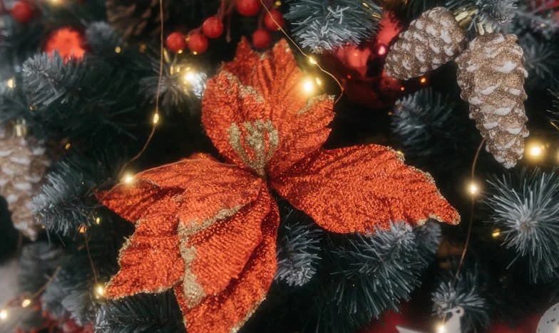 Niciodată destul pentru Vlad: O iubire pe marginea prăpastiei sociale