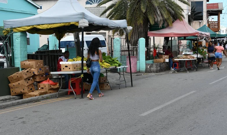 Nu încă o cameră pentru soacra mea: Casa, lupta și granițele iubirii