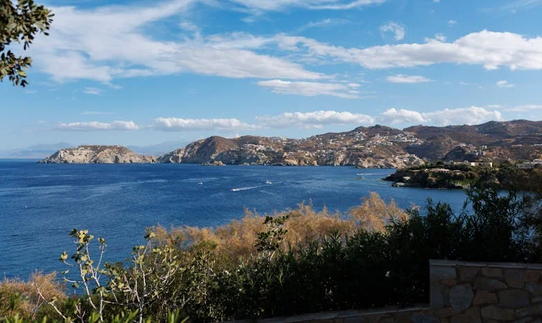 „O să am copiii pe care îi vreau eu!”: Strigătul surorii mele care ne-a sfâșiat familia