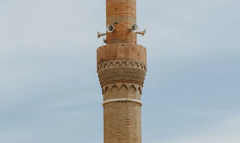 Paisprezece săptămâni – Povestea mea, Camelia