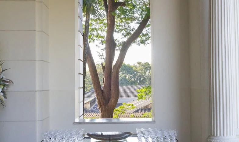 Prețul liniștii: Povestea unei femei care a învățat să se iubească