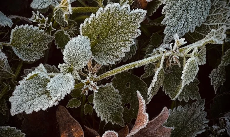 „Să-l iert pe Radu, care s-a întors după ce m-a părăsit?”: Povestea unei alegeri imposibile