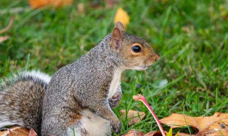 Scrisoarea care mi-a schimbat viața: Povara datoriilor și legăturile de sânge