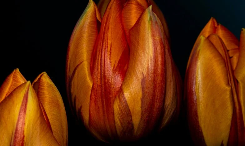 Trei copii într-un an – Cum am supraviețuit când viața mea s-a prăbușit