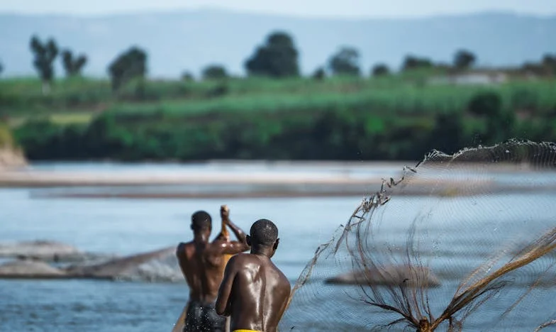 Umbra minciunii: Povestea unei trădări în familie