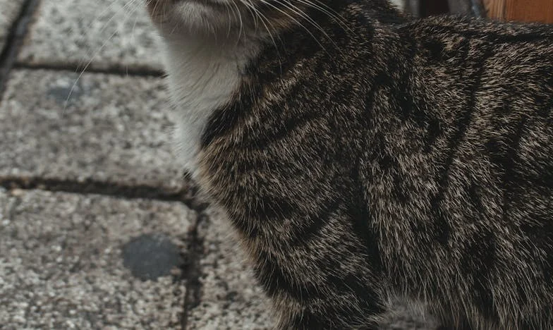 Umbra unei minciuni: Weekendul care mi-a schimbat viața