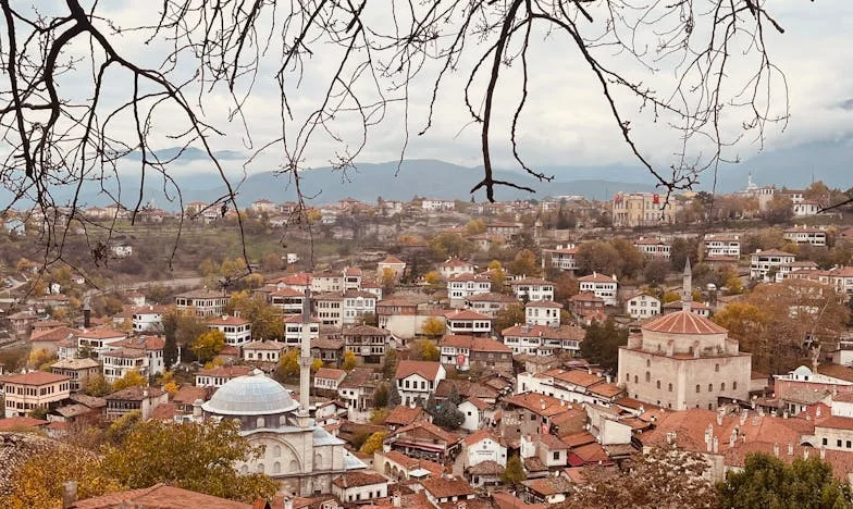 Umbre peste masa goală: Povestea unei mame care nu a renunțat la speranță