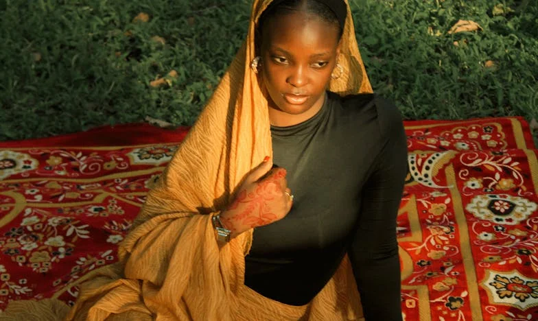 Umbrele din spatele ferestrei: Povestea unei trădări tăcute