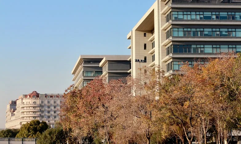 Umbrele trecutului la masa de nuntă