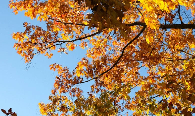 Vara în care am pierdut totul: O poveste de la Eforie Nord