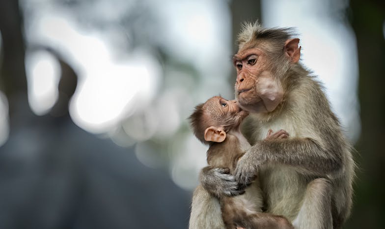 Adevărul Mamei: Când Dragostea Nu E De Ajuns