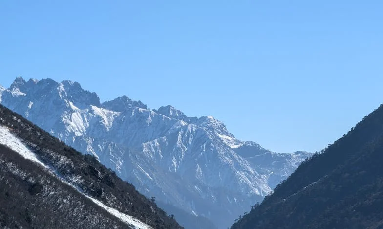 Adevărul pe care nu l-am putut rosti fiicei mele