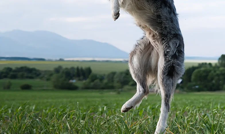 Când acasă devine refugiu: Povestea unei mame între adevăr și tăcere