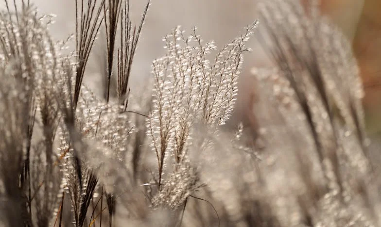 Când am intrat pe neașteptate în casă: seara care mi-a schimbat viața