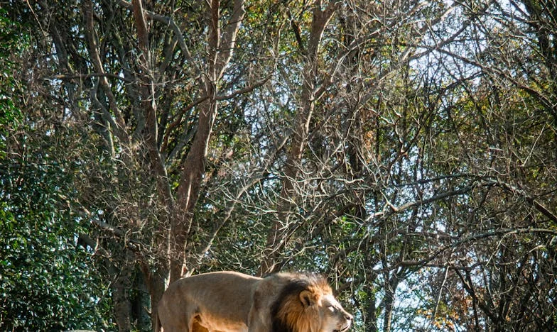 Când trecutul sună la ușă: Povestea unei iubiri renăscute după pierdere