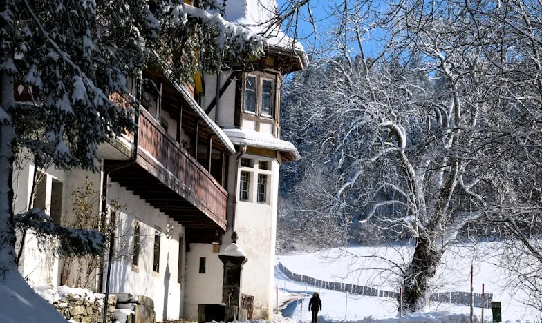 „Cum poți avea o astfel de familie?” – Prânzul de duminică ce mi-a sfâșiat căsnicia și sufletul