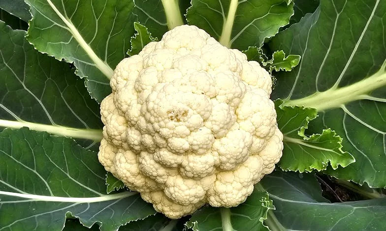 Durerea mea nu e mai puțin importantă decât viitorul lui – Povestea unei familii sfâșiate de tăcere