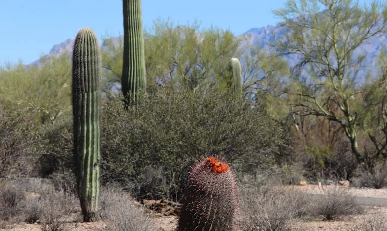 Fiica mea nu-mi mai aparține: Povestea unei mame care își pierde copilul într-o relație toxică